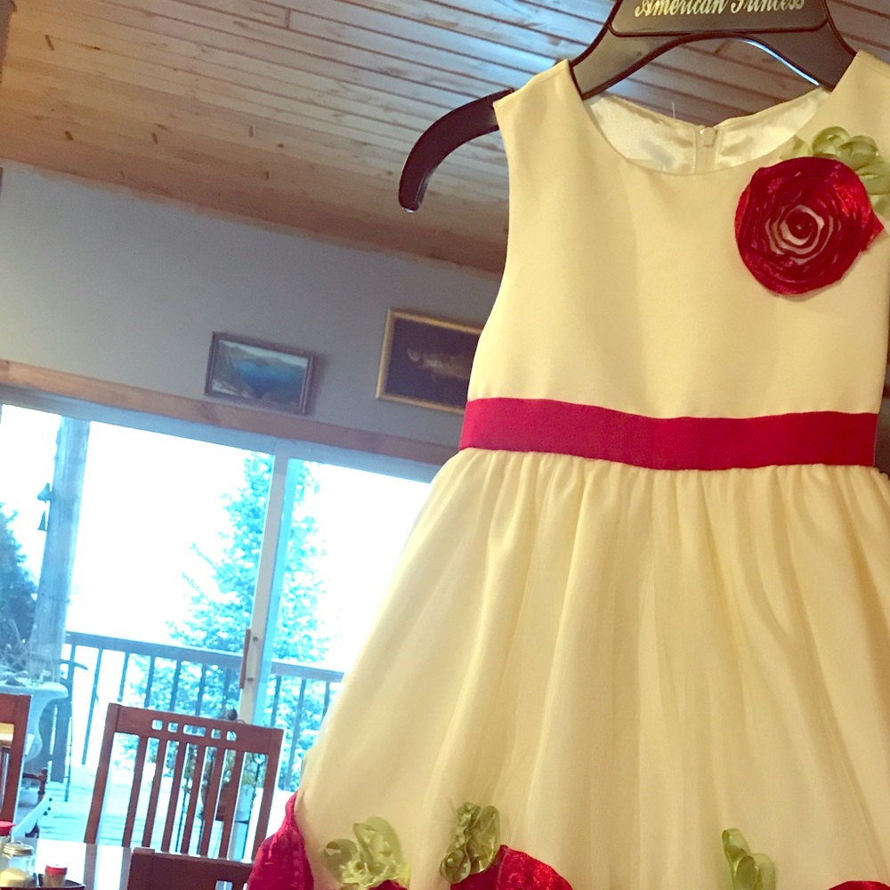 Brand new never worn Christmas dress for 4yr old